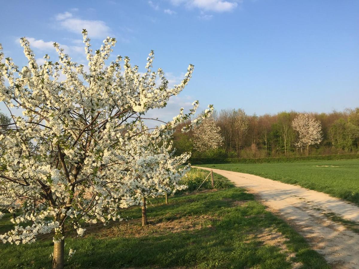 Belle Vue Vakantieappartement Genoelselderen Esterno foto
